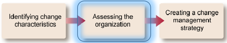 Assessing the organization.png