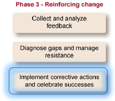 Implement corrective actions and celebrate successes.png