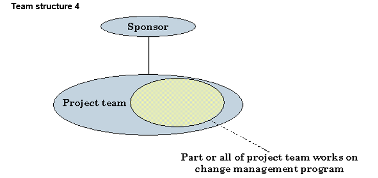 Team structure 4.png