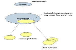 Team structure 6.png