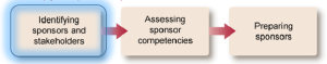 Identifying sponsors and stakeholders.png